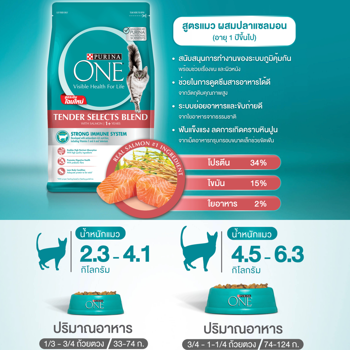 อาหารแมว Purina One, อาหารแมว, อาหารแมว ยี่ห้อไหนดี, อาหารแมวถูกและดี, อาหารแมวยี่ห้อไหนดี ขนไม่ร่วง, อาหารแมว สุขภาพดี