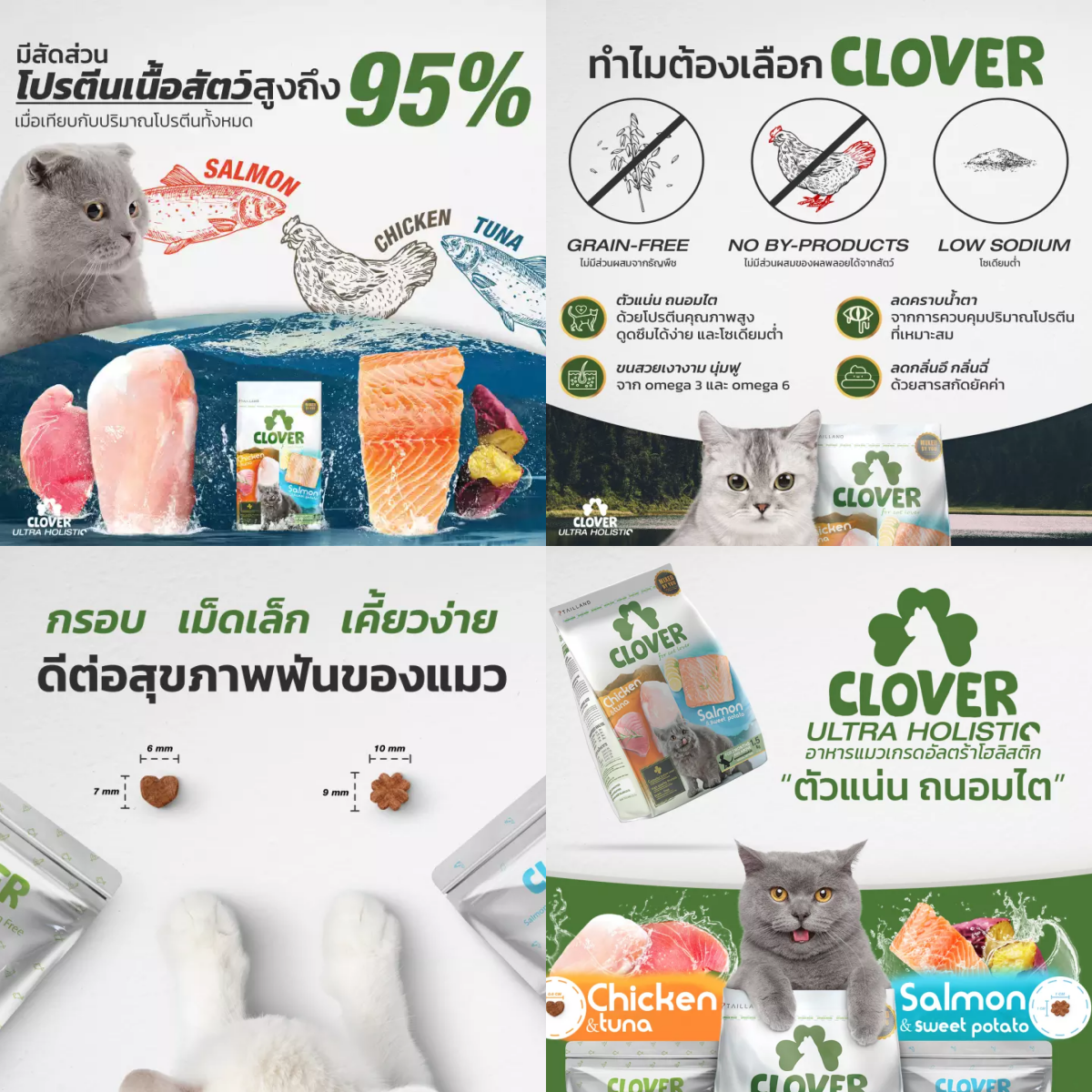 อาหารแมว Clover, อาหารแมว, อาหารแมว ยี่ห้อไหนดี, อาหารแมวถูกและดี, อาหารแมวยี่ห้อไหนดี ขนไม่ร่วง, อาหารแมว สุขภาพดี