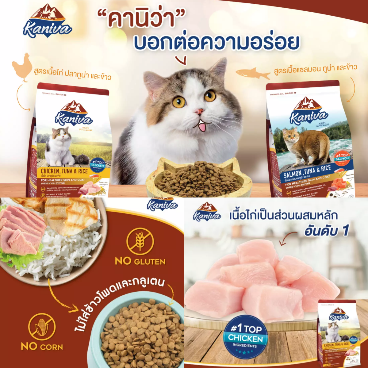 อาหารแมว คานิว่า, อาหารแมว, อาหารแมว ยี่ห้อไหนดี, อาหารแมวถูกและดี, อาหารแมวยี่ห้อไหนดี ขนไม่ร่วง, อาหารแมว สุขภาพดี
