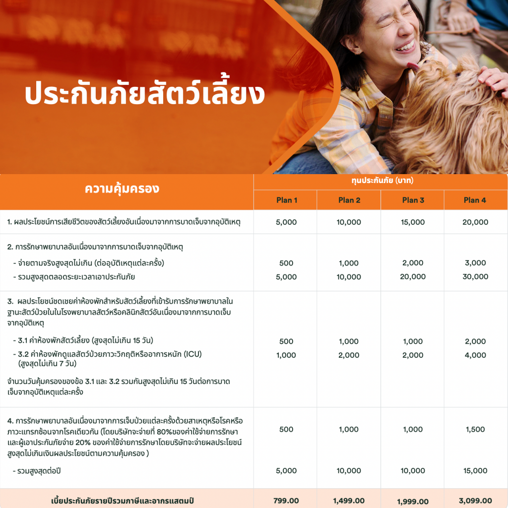 มีไว้ก็อุ่นใจ แนะนำ ประกันสัตว์เลี้ยง ประกันภัยหมาแมว ที่ไหนดี 2565