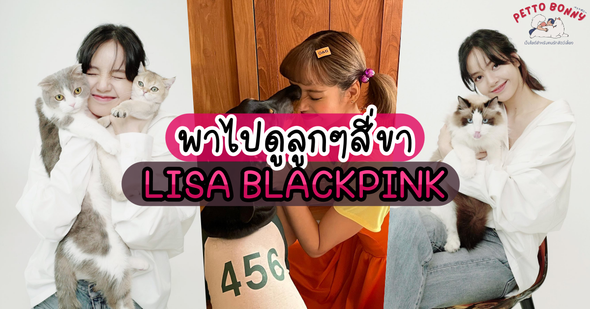 อยากแนะนำให้รู้จัก สัตว์เลี้ยงของซุปตาร์ "ลิซ่า BLACKPINK" น้องหมาน้องแมว "Lalala_lfamily"