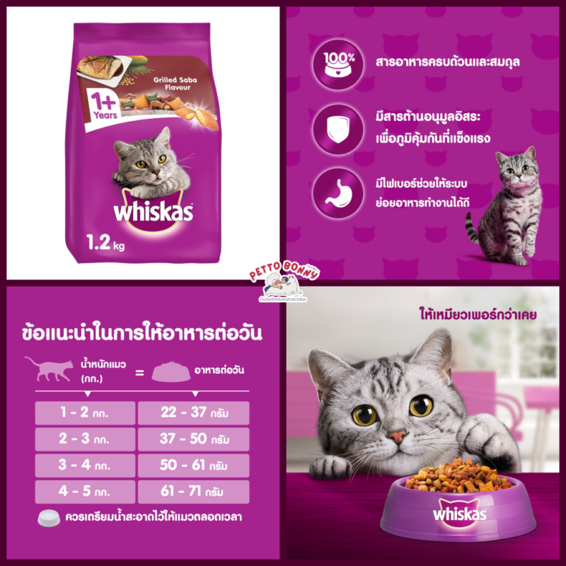 แนะนำ 10 อันดับ อาหารแมว ยี่ห้อไหนดี 2566 ดีต่อสุขภาพ บำรุงขนสวย ขับถ่ายเป็นก้อน