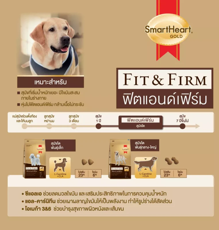 รีวิว 10 อาหารสุนัข ยี่ห้อไหนดี 2023 ดีต่อสุขภาพ ร่างกายแข็งแรง ราคาไม่แพง