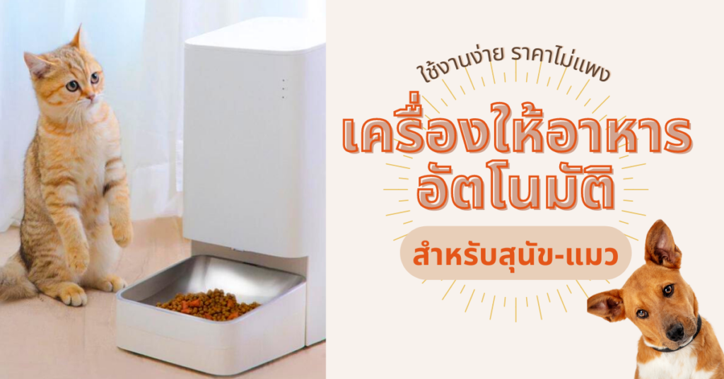 เครื่องให้อาหารแมว, เครื่องให้อาหารแมว ยี่ห้อไหนดีเครื่องให้อาหารสุนัข ยี่ห้อไหนดี, รีวิว เครื่องให้อาหารแมว