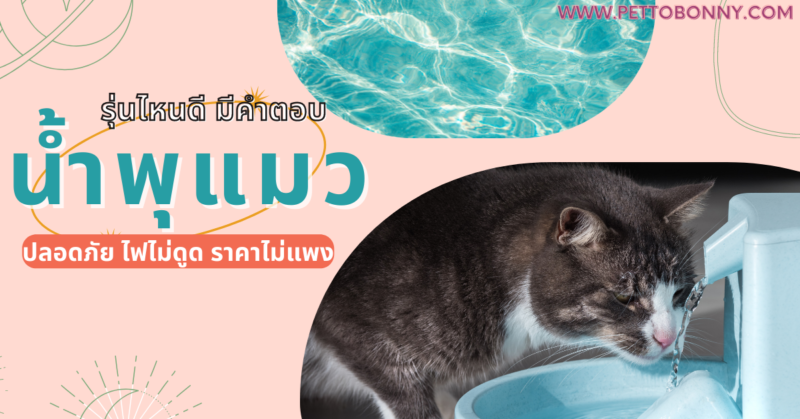 น้ำ พุแมว ยี่ห้อไหนดี, น้ำ พุ แมว รุ่นไหนดี