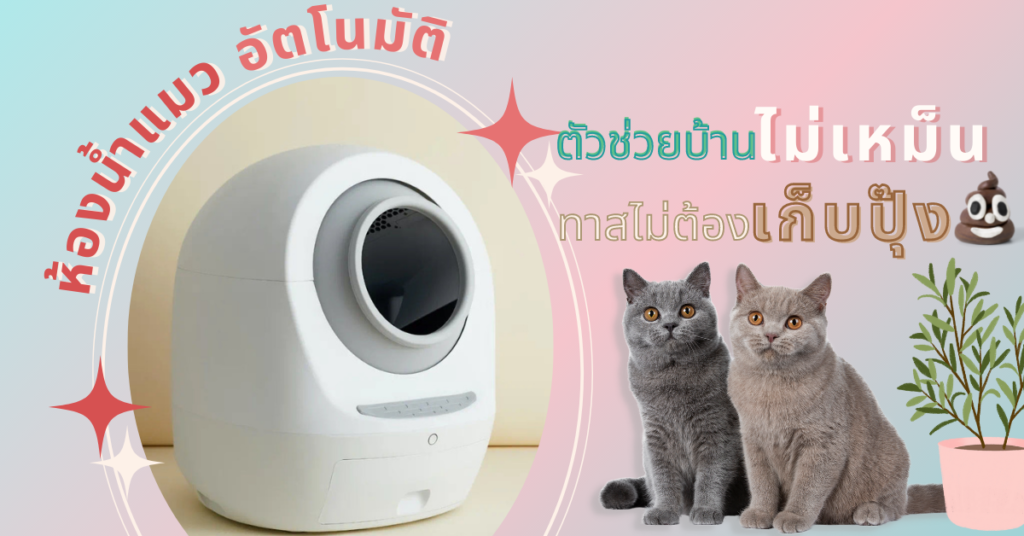 ห้องน้ําแมว , ห้องน้ําแมว ยี่ห้อไหนดี, ห้องน้ําแมว อัตโนมัติ, ห้องน้ําแมวอัจฉริยะ, ห้องน้ำ แมวอัจฉริยะ ยี่ห้อไหนดี pantip