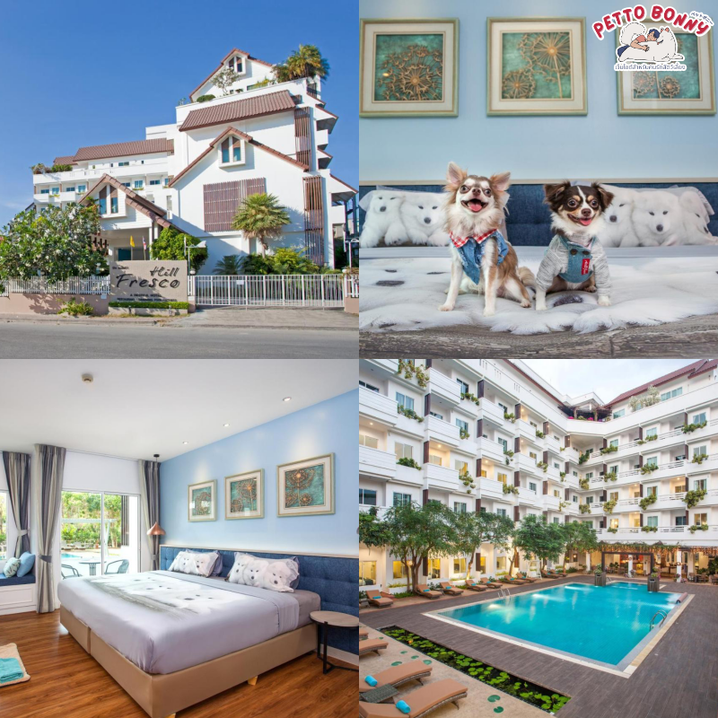 โรงแรม Pet Friendly พัทยา 2024 10 ที่พักพัทยา สุนัขพักได้ แมวเข้าได้