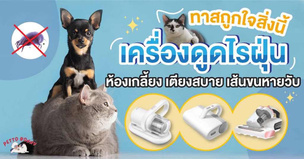 เครื่องดูดไรฝุ่น ยี่ห้อไหนดี ราคาไม่แพง