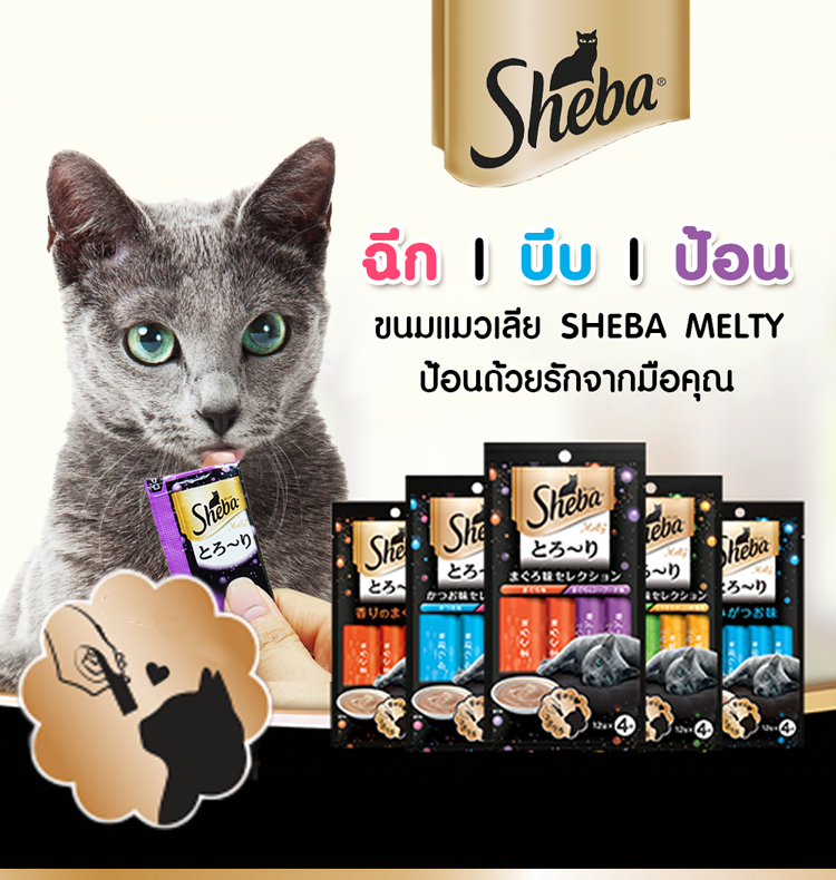 แนะนำ 10 ขนมแมวเลีย ยี่ห้อไหนดี 2023 อาหารว่างแมว อร่อยถูกใจเมี๊ยว