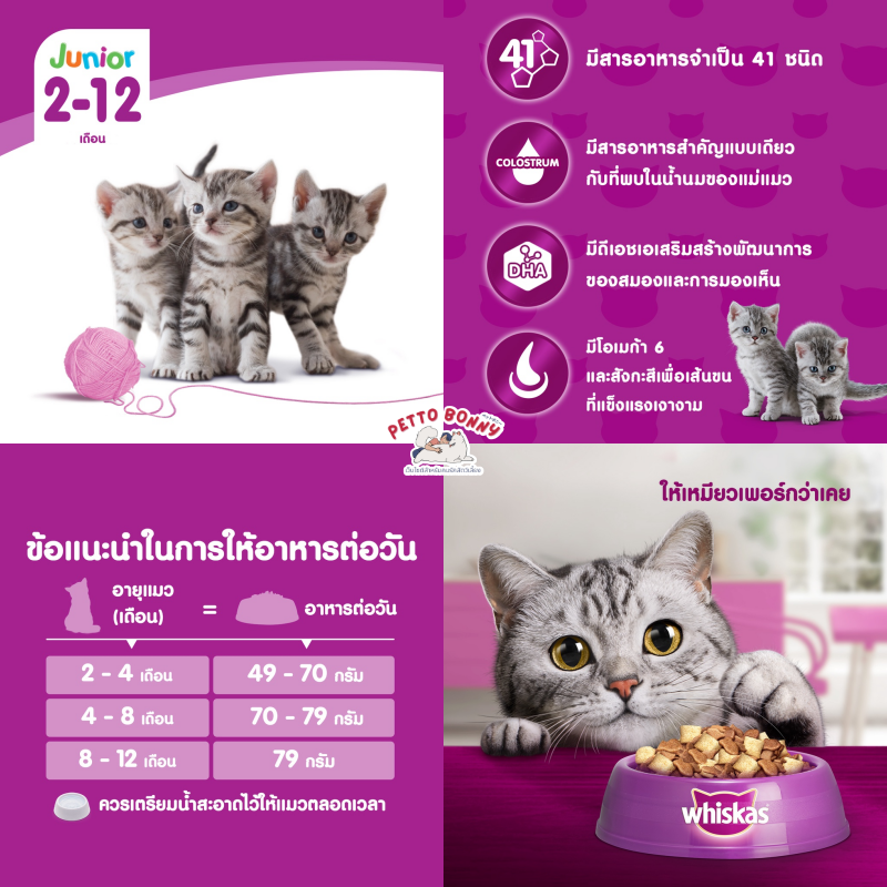 อาหารลูกแมว, อาหารเม็ดลูกแมว, อาหารลูกแมว ยี่ห้อไหนดี