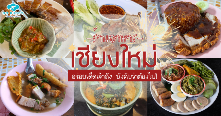 รีวิว 10 ที่พักเชียงใหม่ สุนัขแมวเข้าได้ 2023 โรงแรมสวยๆ บรรยากาศดี ในเมืองก็มีนะ