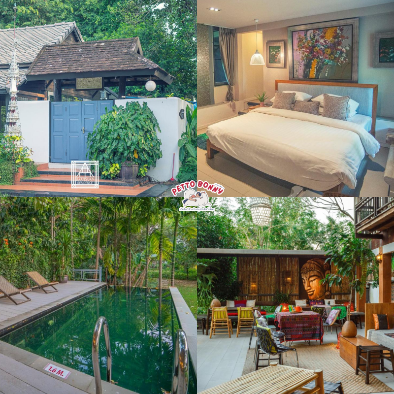 pet friendly hotel เชียงใหม่ | 10 ที่พักเชียงใหม่ สุนัขเข้าพักได้ 2567 แมวเข้าพักได้