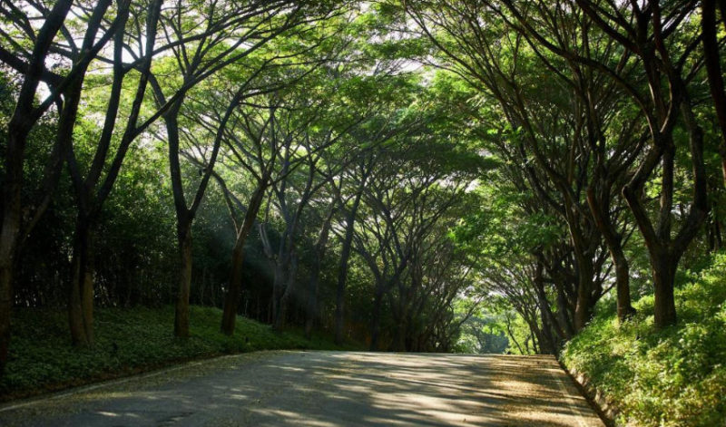 โรงแรมเขาใหญ่ สุนัขเข้าได้, โรงแรมเขาใหญ่ สุนัขเข้าได้ pantip, รีสอร์ทเขาใหญ่ สุนัขเข้าได้, ที่พักปากช่อง สุนัขเข้าได้, ที่พักเขาใหญ่ สุนัขเข้าได้, ที่พักเขาใหญ่ สุนัขเข้าได้ pantip, ที่พักเขาใหญ่ pet friendly, ที่พักเขาใหญ่ พาแมวไปได้, ที่พัก เขาใหญ่ แมวเข้าได้, บ้านพักเขาใหญ่ สุนัขเข้าได้, เขาใหญ่ สุนัข pantip, pet friendly hotel เขาใหญ่, pet friendly เขาใหญ่, พูลวิลล่าเขาใหญ่ สุนัขเข้าได้, ที่พักเขาใหญ่ สุนัขเข้าได้ ราคาถูก, ที่พักเขาใหญ่ 5 ดาว, รีสอร์ท เขาใหญ่ สุนัข พักได้ ราคา ถูก