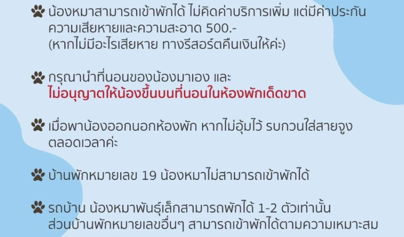 ที่พักนครนายก สุนัขเข้าได้, ที่พักนครนายก แมวเข้าได้, ที่พักนครนายก ส่วนตัว, รีวิวที่พักนครนายก, ที่พักนครนายกสวยๆ, โรงแรมนครนายก สุนัขเข้าได้, ที่พัก สุนัขเข้าได้ นครนายก, พาสุนัขเที่ยวนครนายก, pet friendly hotel นครนายก