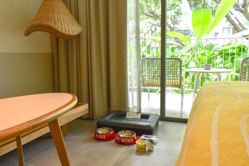 ที่พัก Pet Friendly หัวหิน | แนะนำ 5 โรงแรมหัวหินติดทะเล 2566 น้องแมว สุนัขเข้าพักได้ วิ่งเล่นริมชายหาด สนุกสุดๆ