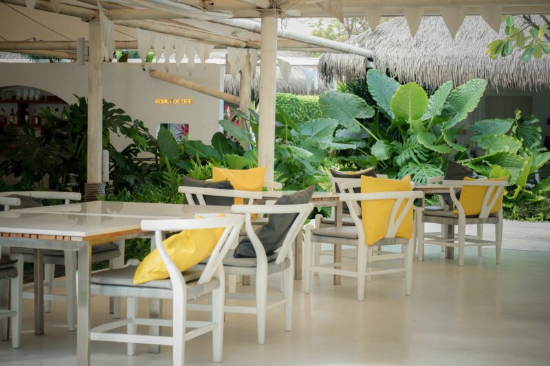 ที่พัก Pet Friendly หัวหิน | แนะนำ 5 โรงแรมหัวหินติดทะเล 2566 น้องแมว สุนัขเข้าพักได้ วิ่งเล่นริมชายหาด สนุกสุดๆ