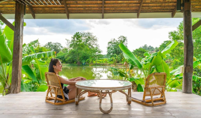 ที่พัก Pet Friendly Hotel | แนะนำ 5 โรงแรมเขาใหญ่ สุนัขเข้าได้ 2566 บรรยากาศดี พักผ่อนท่ามกลางธรรมชาติ