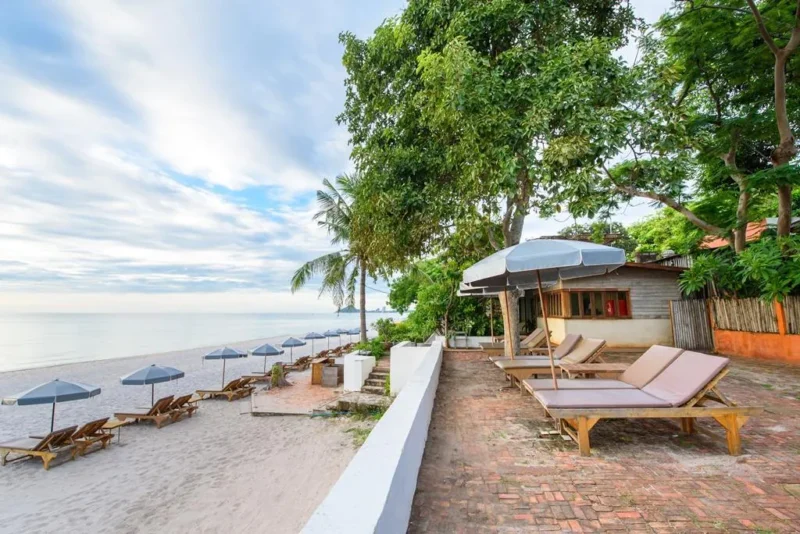 ที่พัก Pet Friendly หัวหิน | แนะนำ 5 โรงแรมหัวหินติดทะเล 2566 น้องแมว สุนัขเข้าพักได้ วิ่งเล่นริมชายหาด สนุกสุดๆ