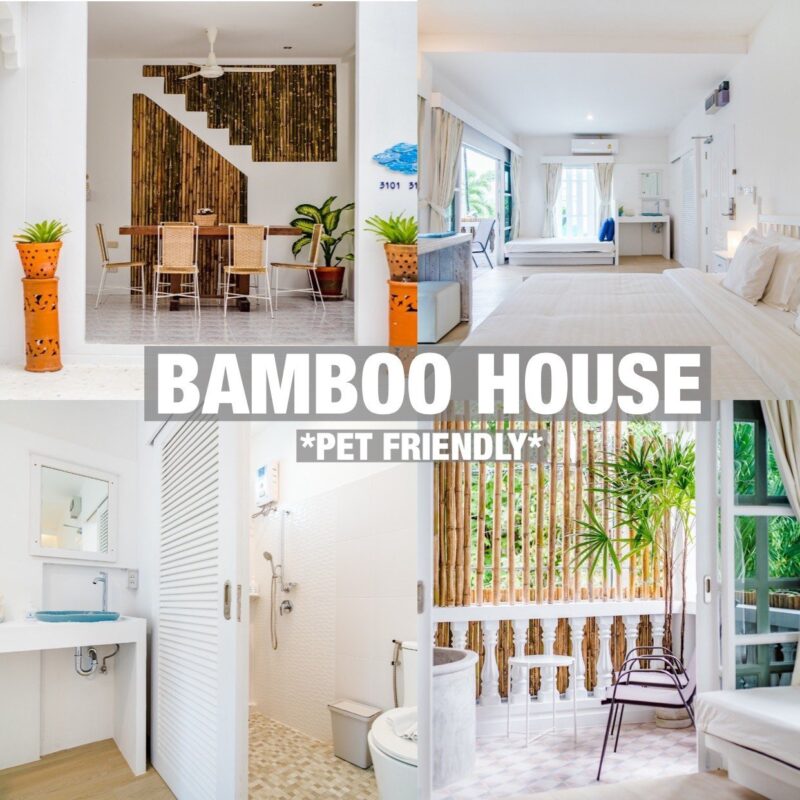 ที่พัก Pet Friendly หัวหิน | แนะนำ 5 โรงแรมหัวหินติดทะเล 2566 น้องแมว สุนัขเข้าพักได้ วิ่งเล่นริมชายหาด สนุกสุดๆ
