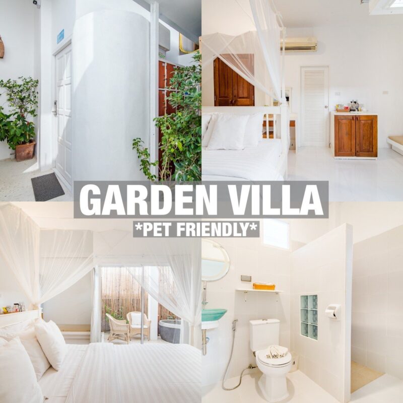 ที่พัก Pet Friendly หัวหิน | แนะนำ 5 โรงแรมหัวหินติดทะเล 2566 น้องแมว สุนัขเข้าพักได้ วิ่งเล่นริมชายหาด สนุกสุดๆ