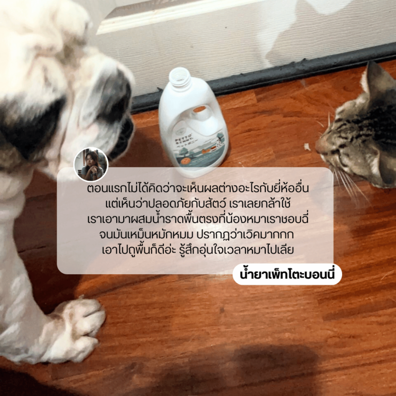 รีวิวผู้ใช้จริง น้ำยาเพ็ทโตะบอนนี่